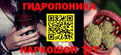 гашик Жуковский