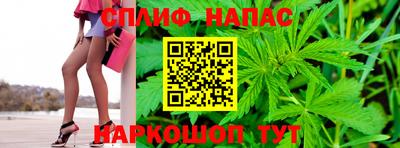 прущие грибы Заводоуковск